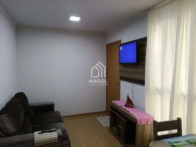 Apartamento venda em Ponta Grossa, Região Geográfica Intermediária de Ponta Grossa