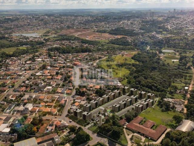 Apartamento venda em Região Geográfica Imediata de Ponta Grossa, Ponta Grossa