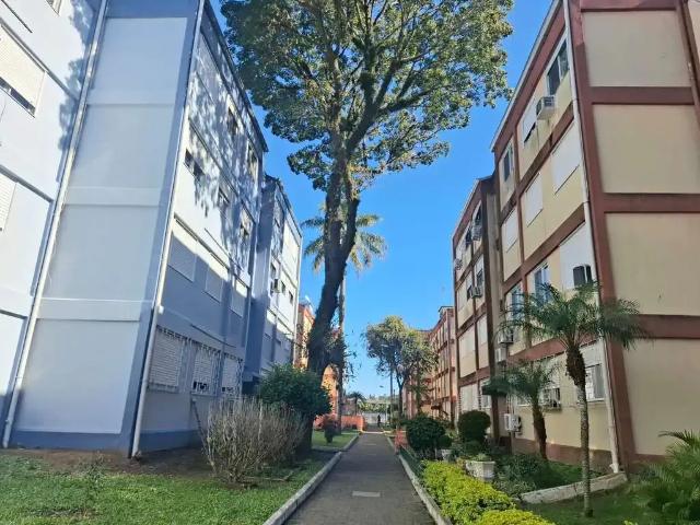 Apartamento venda em Região Geográfica Imediata de Porto Alegre, Região Metropolitana de Porto Alegre