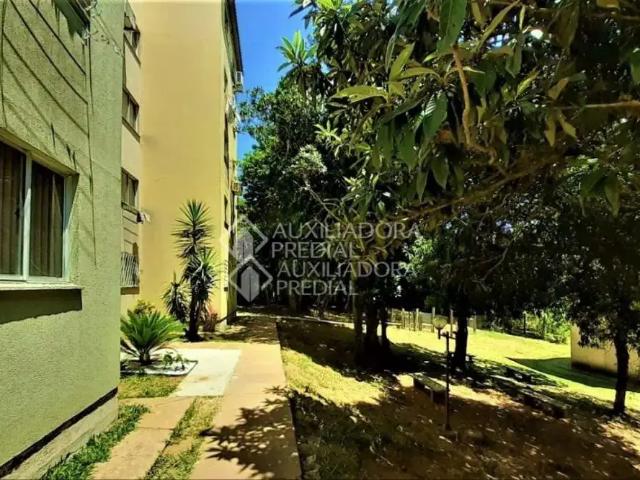 Apartamento venda em Condomínio Monte Verde, Porto Alegre