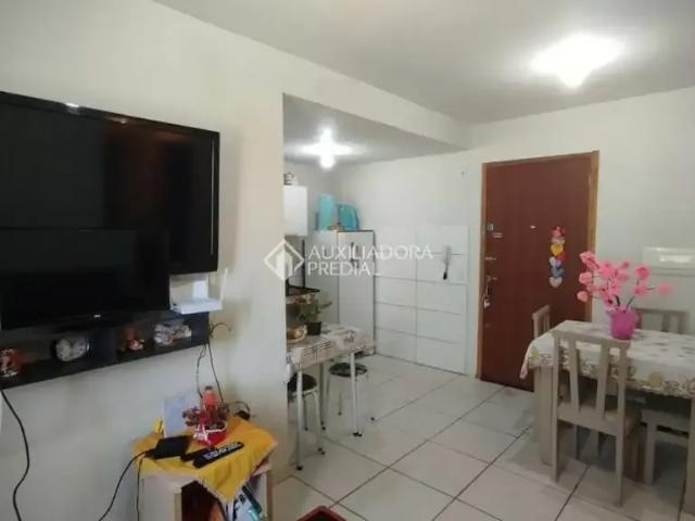 Apartamento venda em Chapéu do Sol, Porto Alegre