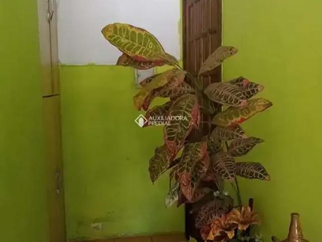 Apartamento venda em Parque dos Maias, Porto Alegre