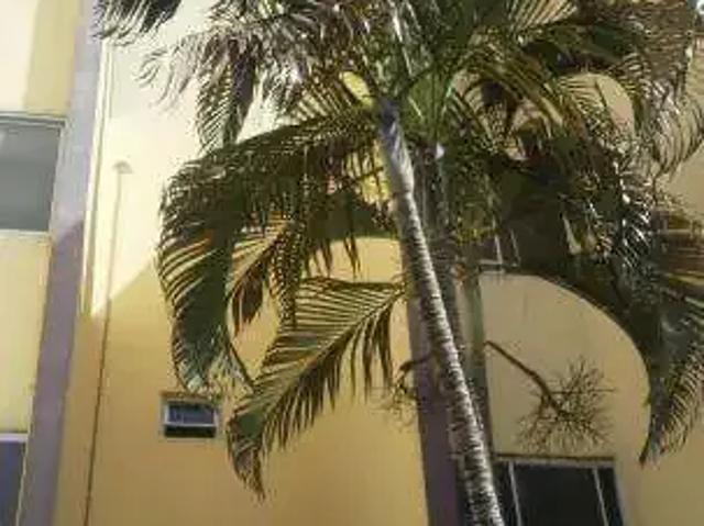 Apartamento venda em Região Imediata de Presidente Prudente, Presidente Prudente