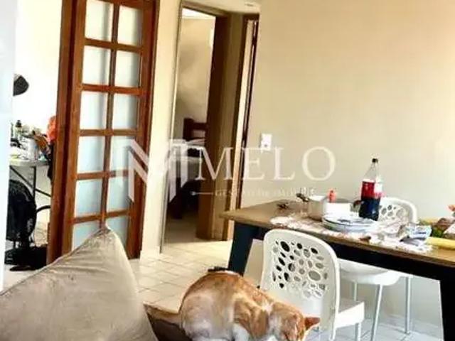 Apartamento venda em Região Geográfica Imediata do Recife, Região Metropolitana do Recife