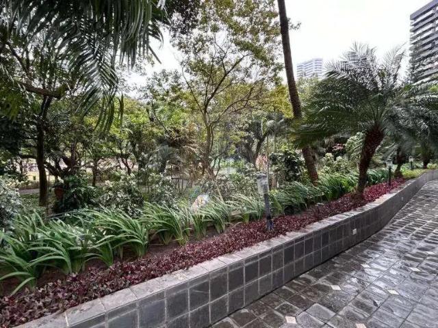 Apartamento venda em Região Geográfica Imediata do Recife, Região Metropolitana do Recife