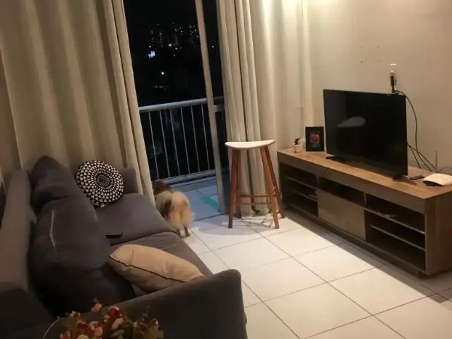 Apartamento venda em Região Geográfica Imediata do Recife, Região Metropolitana do Recife