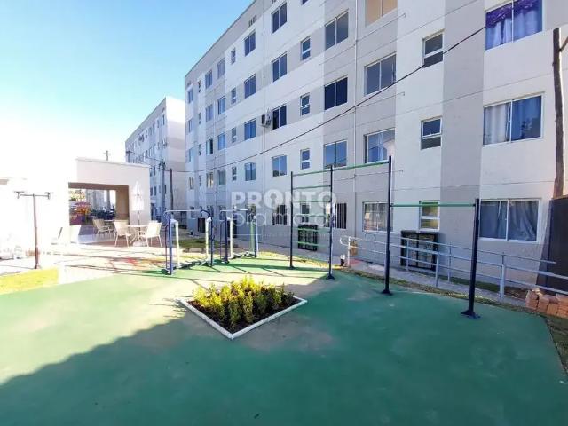 Apartamento venda em Região Geográfica Imediata do Recife, Região Metropolitana do Recife