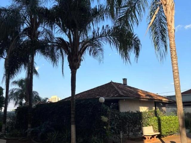 Apartamento venda em Ribeirão Preto