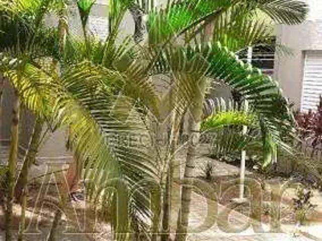 Apartamento venda em Região Imediata de Ribeirão Preto, Região Metropolitana de Ribeirão Preto