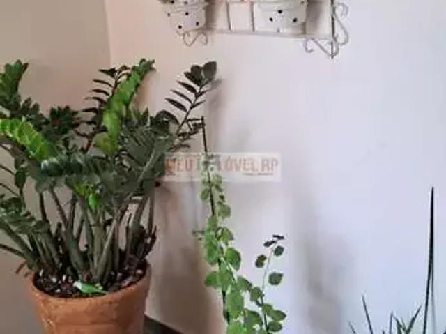 Apartamento venda em Região Imediata de Ribeirão Preto, Região Metropolitana de Ribeirão Preto