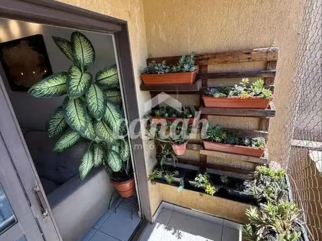 Apartamento venda em Região Imediata de Ribeirão Preto, Região Metropolitana de Ribeirão Preto