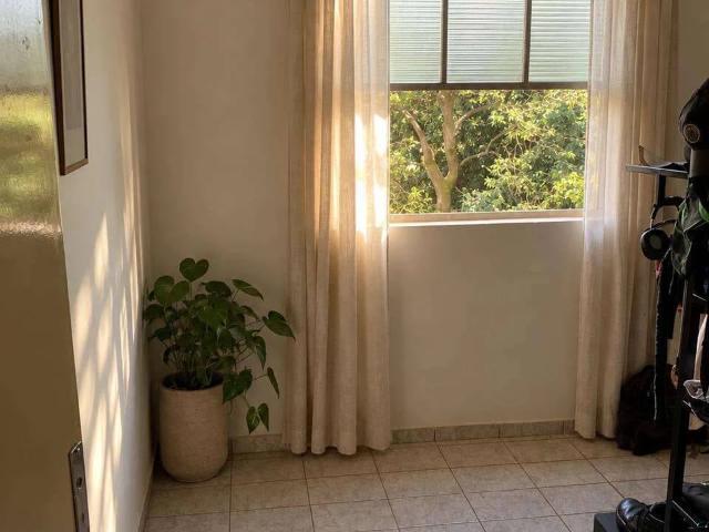 Apartamento venda em Ribeirão Preto, Região Geográfica Intermediária de Ribeirão Preto
