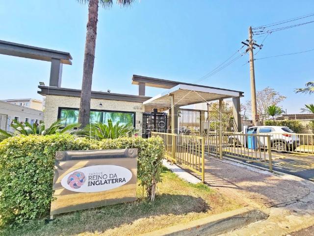 Apartamento venda em Ribeirão Preto, Região Geográfica Intermediária de Ribeirão Preto