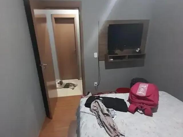 Apartamento venda em Região Imediata de Ribeirão Preto, Região Metropolitana de Ribeirão Preto