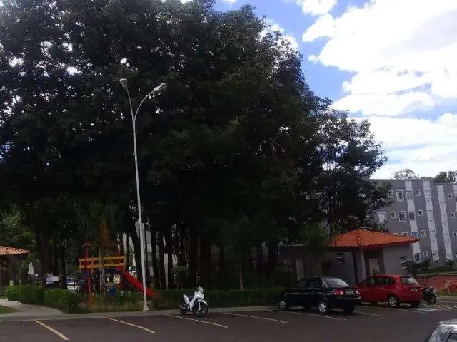 Apartamento venda em Região Imediata de Ribeirão Preto, Região Metropolitana de Ribeirão Preto