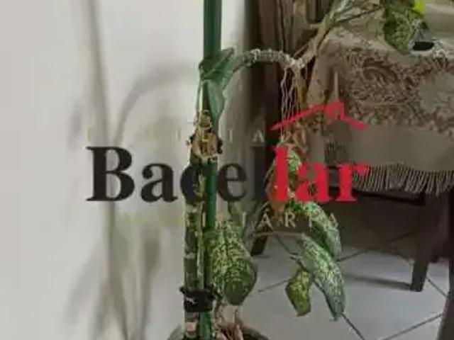 Apartamento venda em Encantado, Rio de Janeiro