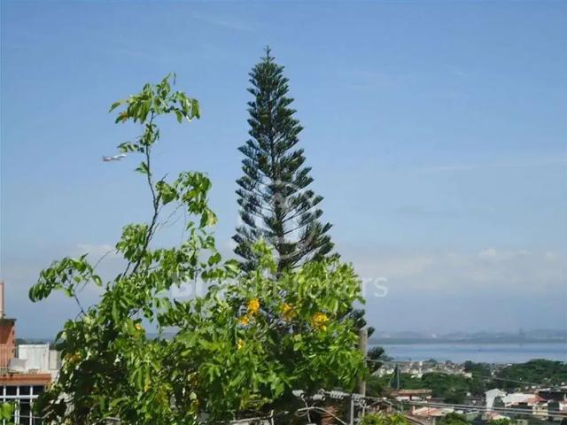 Apartamento venda em Jardim Guanabara, Rio de Janeiro