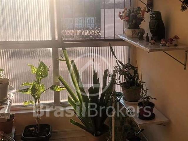 Apartamento venda em Região Geográfica Imediata do Rio de Janeiro, Região Metropolitana do Rio de Janeiro