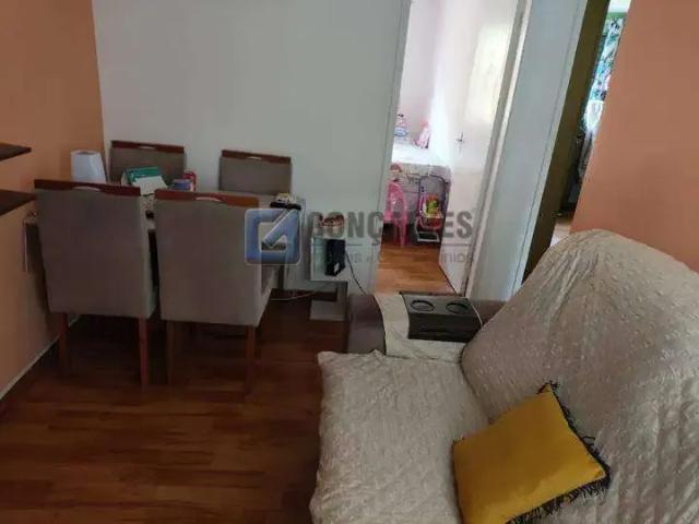 Apartamento venda em Vila Holanda Cavalcanti, São Bernardo do Campo