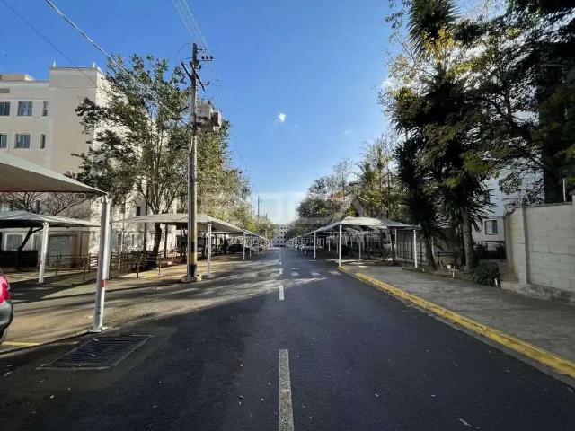 Apartamento venda em Mont Park, São Carlos