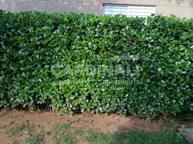 Apartamento venda em Região Imediata de São Carlos, São Carlos