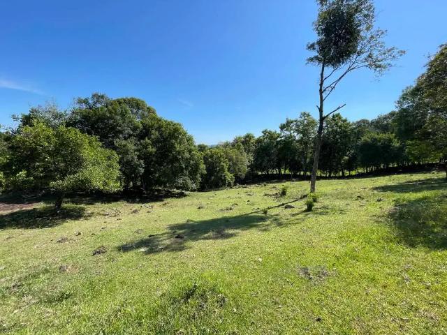 Apartamento venda em Região Geográfica Imediata de Caxias do Sul, São Francisco de Paula