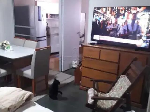 Apartamento venda em Região Imediata de São José do Rio Preto, Região Metropolitana de São José do Rio Preto