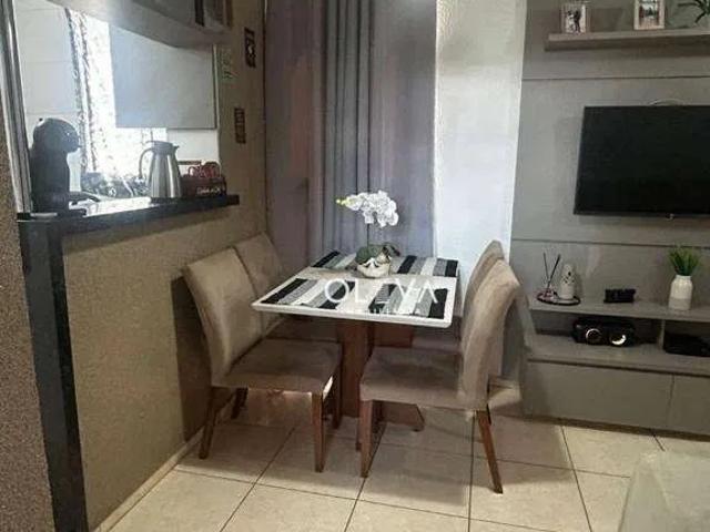 Apartamento venda em São José do Rio Preto