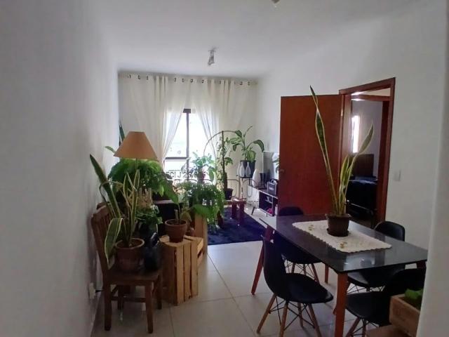 Apartamento venda em São José do Rio Preto