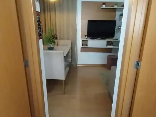 Apartamento venda em São José do Rio Preto