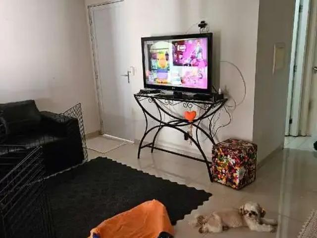 Apartamento venda em Região Imediata de São José do Rio Preto, Região Metropolitana de São José do Rio Preto