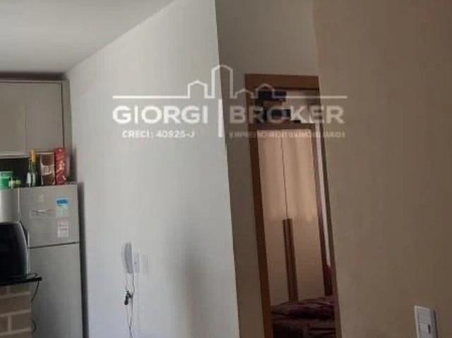 Apartamento venda em São José do Rio Preto