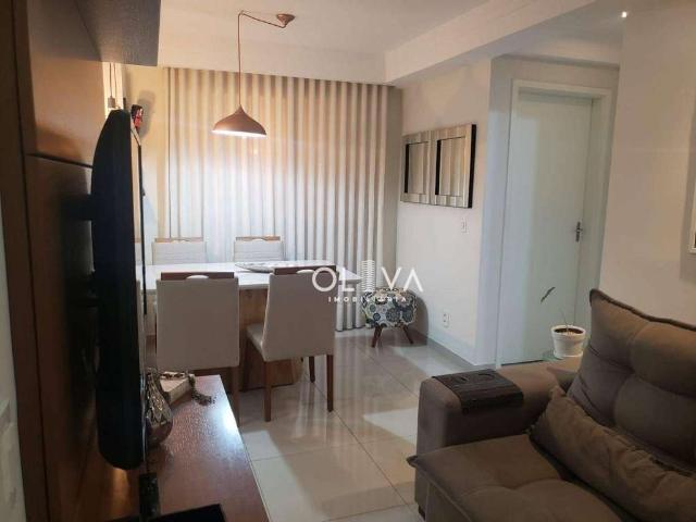 Apartamento venda em São José do Rio Preto