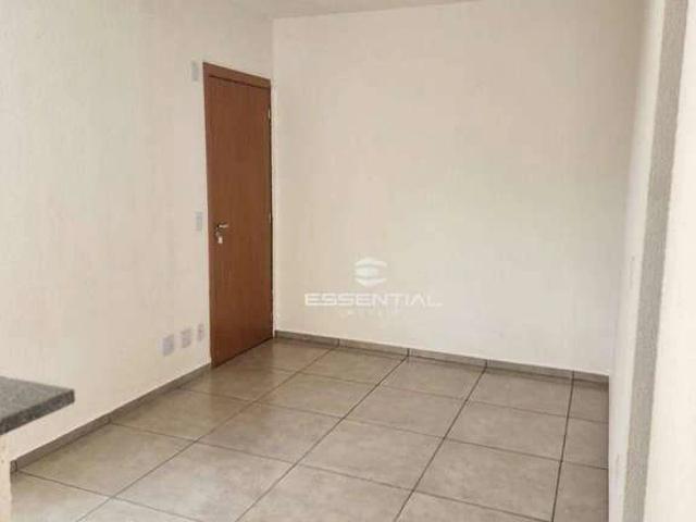 Apartamento venda em São José do Rio Preto