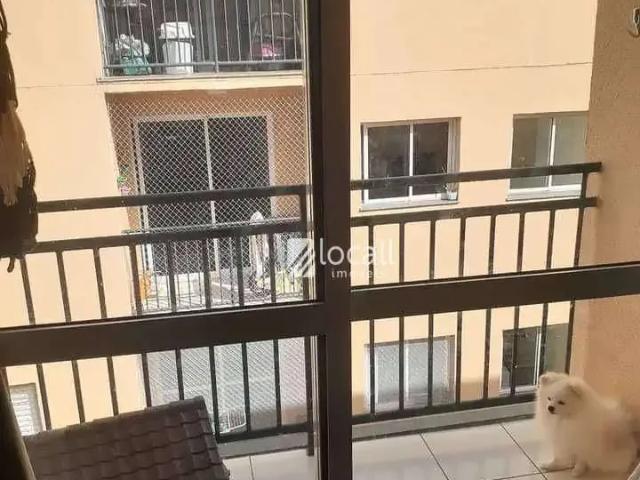 Apartamento venda em Região Imediata de São José do Rio Preto, Região Metropolitana de São José do Rio Preto