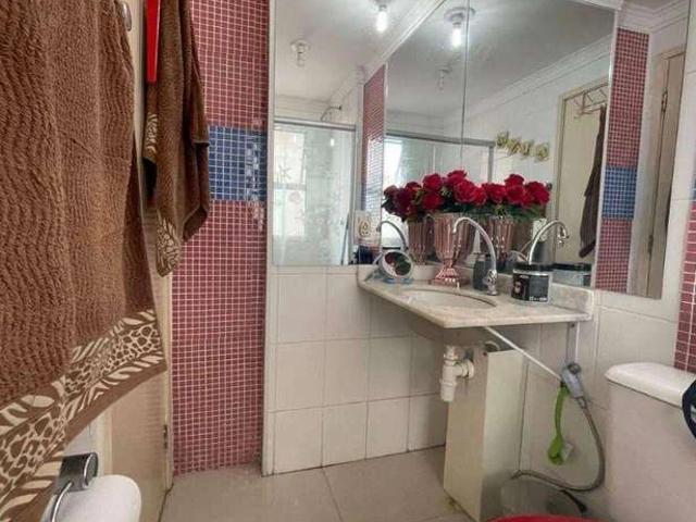 Apartamento venda em São José do Rio Preto