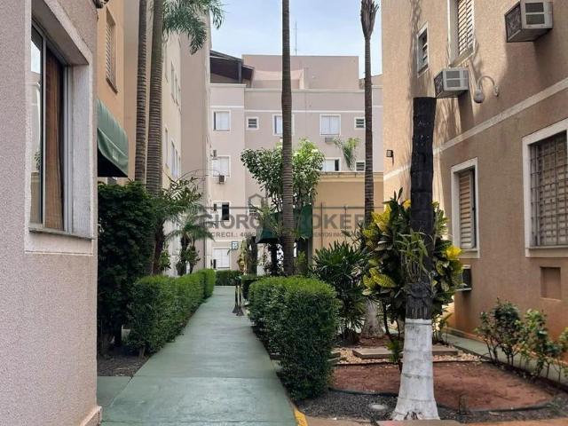 Apartamento venda em São José do Rio Preto