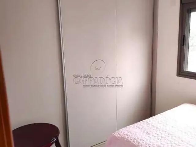Apartamento venda em São José do Rio Preto