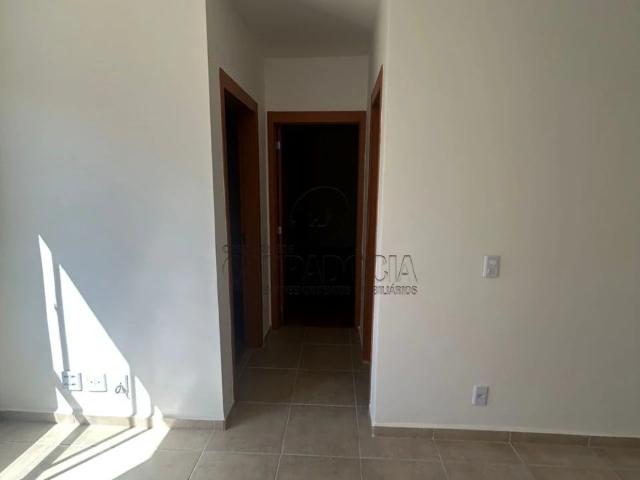 Apartamento venda em São José do Rio Preto