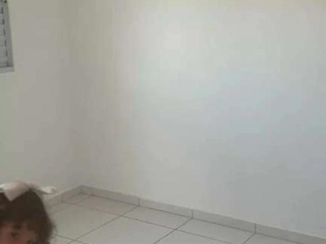 Apartamento venda em São José do Rio Preto
