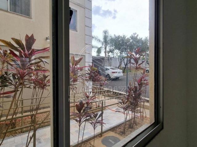 Apartamento venda em São José do Rio Preto