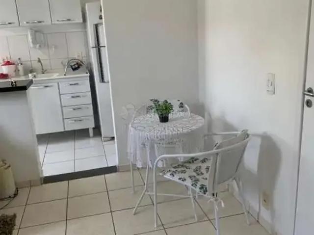 Apartamento venda em São José do Rio Preto, Região Geográfica Intermediária de São José do Rio Preto