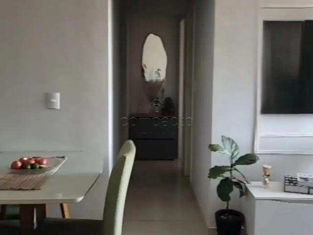 Apartamento venda em Região Imediata de São José do Rio Preto, Região Metropolitana de São José do Rio Preto
