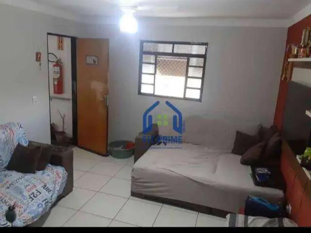 Apartamento venda em São José do Rio Preto