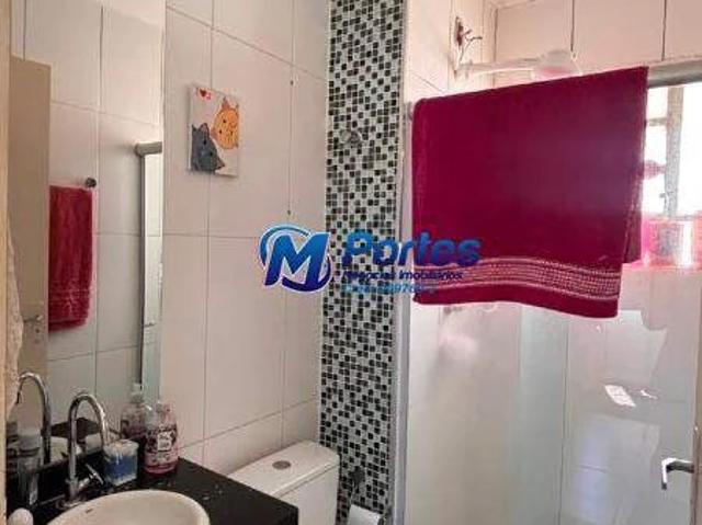 Apartamento venda em São José do Rio Preto, Região Geográfica Intermediária de São José do Rio Preto