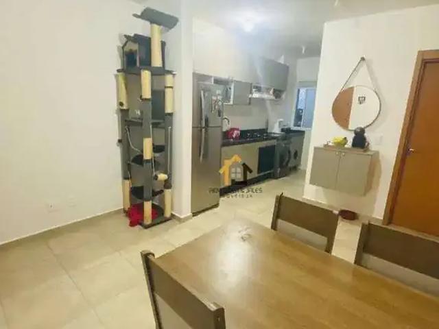 Apartamento venda em Engenheiro Schmidt, São José do Rio Preto