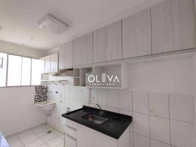Apartamento venda em São José do Rio Preto