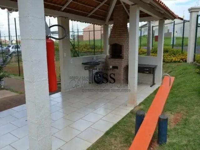 Apartamento venda em São José do Rio Preto