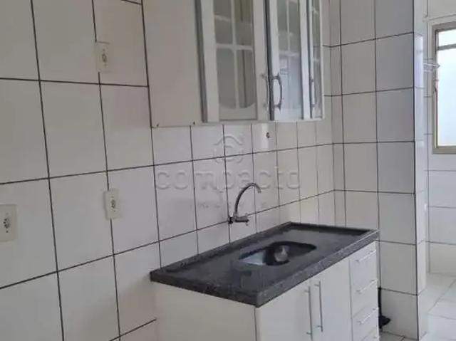 Apartamento venda em São José do Rio Preto, Região Geográfica Intermediária de São José do Rio Preto