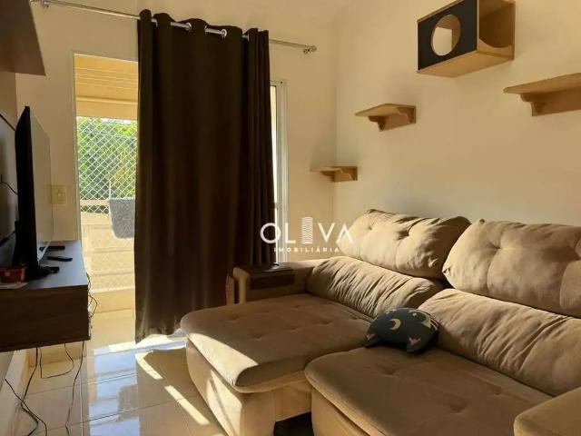 Apartamento venda em São José do Rio Preto